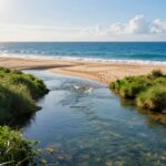 por que o mar é salgado e os rios têm água doce